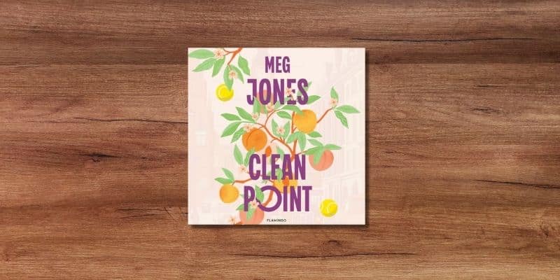 Clean Point Lydbog