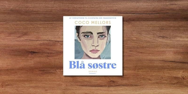Blaa soestre Lydbog