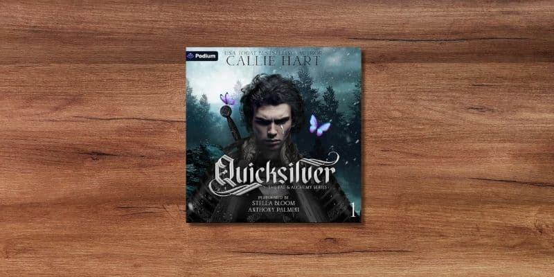Quicksilver Lydbog