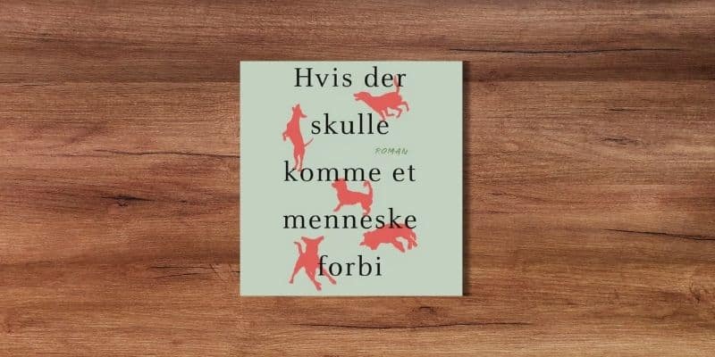 Hvis der skulle komme et menneske forbi Lydbog